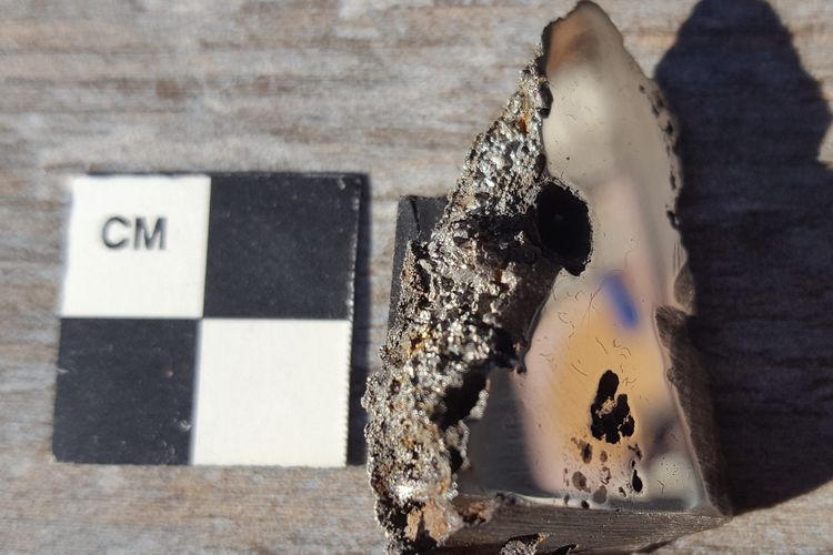 Sepotong meteorit El Ali, dilaporkan berisi dua mineral yang belum pernah terlihat sebelumnya di bumi.