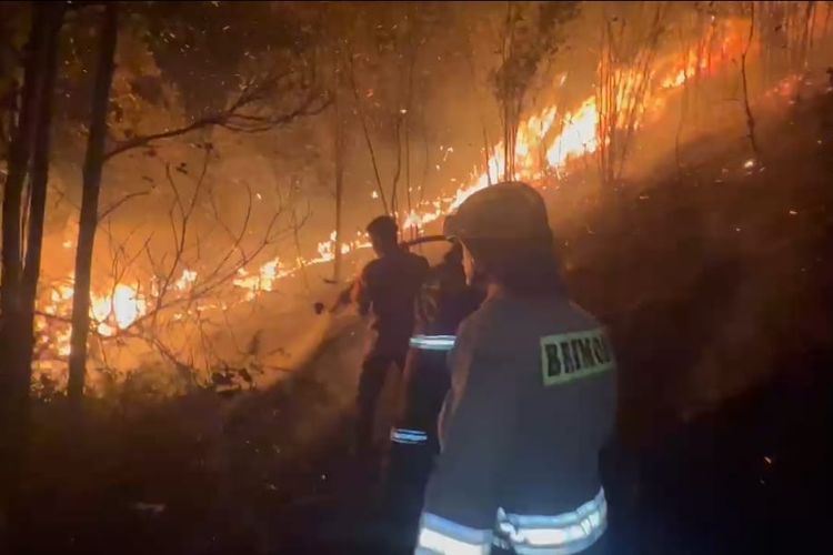 Kebakaran 35 Hektare di Trans Barelang, Penyebab Masih Diselidiki