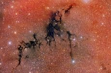 Melihat "Nebula Gelap" yang Terkoyak oleh Bintang-bintang Muda