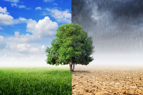 Prakiraan Cuaca di Medan Hari Ini, 14 April 2022: Pagi dan Malam Berawan, Siang hingga Sore Hujan