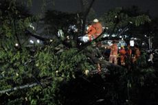 Hujan Deras Disertai Angin Kencang Sebabkan Pohon Tumbang dan Kanopi Ambruk di Kembangan