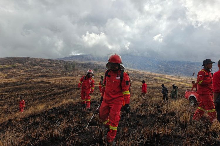 1.956 Hektar Savana Taman Nasional Tambora Terbakar