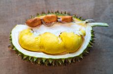 Apa yang Terkandung dalam Durian? Ini Daftarnya...