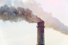 Polusi Udara Bunuh 7 Juta Orang Per Tahun