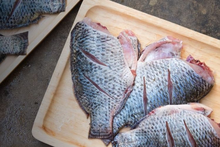 Ikan nila, salah satu ikan yang baik untuk penderita asam lambung.