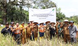 Kembangkan Benih Lokal Siporang, Petani Binaan PTAR Panen Perdana