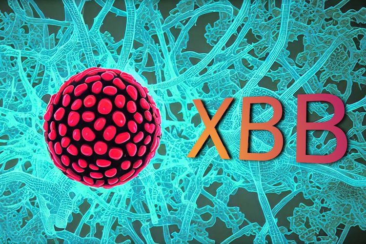An illustration of XBB, the new sub-variant of Covid-19. 