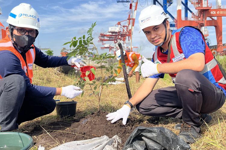 Sambut HUT RI, Pelindo Petikemas Tanam 1.500 Pohon di Area Terminal