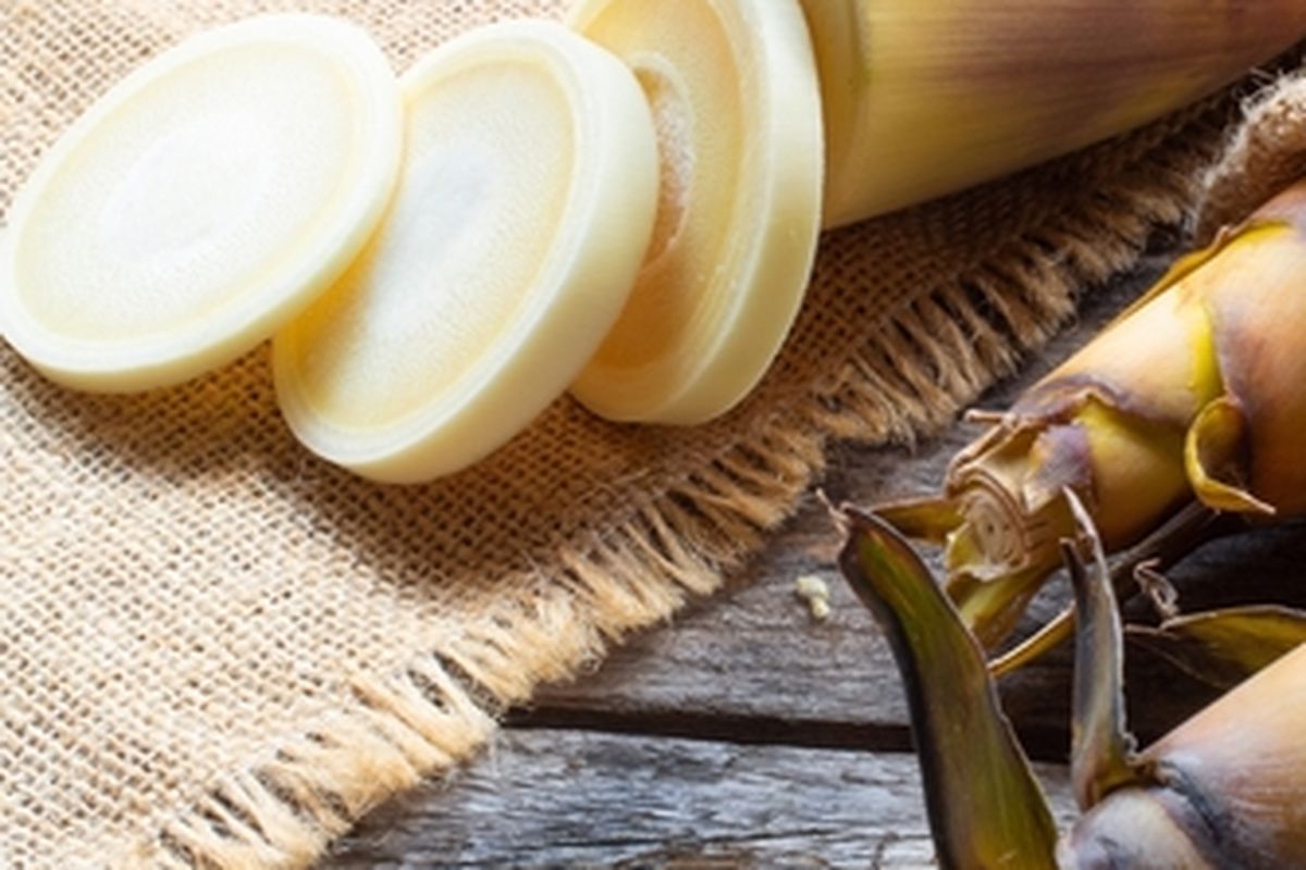 Rebung bambu
