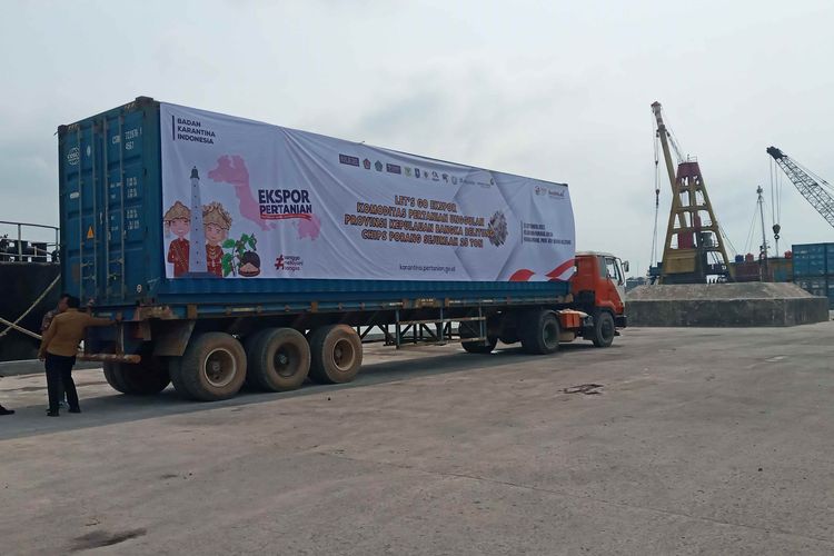 Pelepasan ekspor komoditas pertanian di Pelabuhan Pangkalbalam, Pangkalpinang, Bangka Belitung, Jumat (29/9/2023).