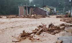 Banjir Sumatera Dipicu Deforestasi, Mayoritas Daerah Aliran Sungai Kritis