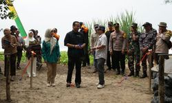 Perbaiki Pantai Pacitan, DMC Dompet Dhuafa Lestarikan Penyu dengan Bangun Saung Konservasi Penyu 