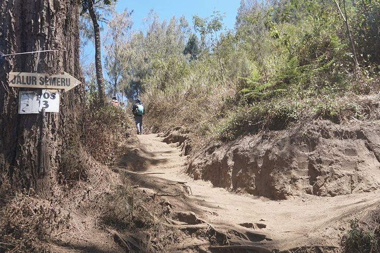 Pendaki melewati tanjakan setelah Pos 3 menuju Ranukumbolo Gunung Semeru, Jawa Timur, Rabu (18/9/2019). Gunung Semeru merupakan gunung tertinggi di Pulau Jawa dengan ketinggian sekitar 3.676 meter di atas permukaan laut.