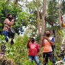 Panwascam di Manggarai Naik Gunung Cari Sinyal untuk Kirim Data Pemilih