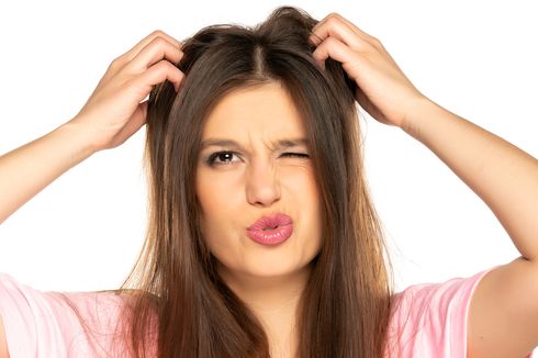 Cara Mengusir dan Cegah Penularan Kutu Rambut