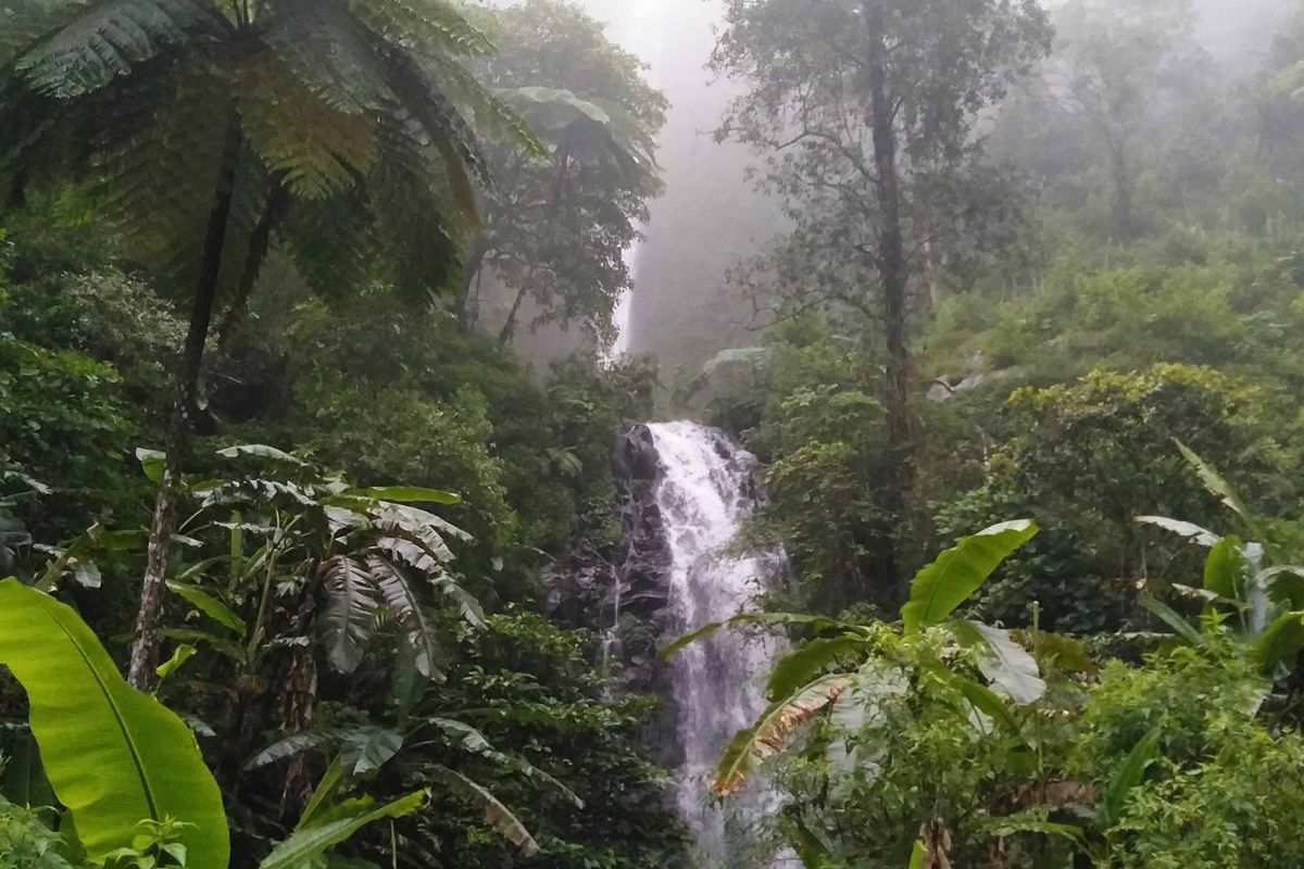 Curug Semawur di Kendal: Daya Tarik, Harga Tiket, dan Rute