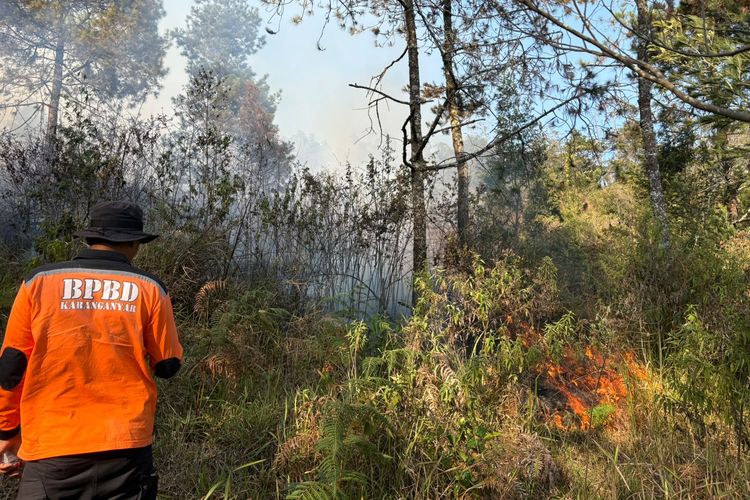 Kebakaran Gunung Lawu, Terjadi Saat Pendakian Masih Ditutup