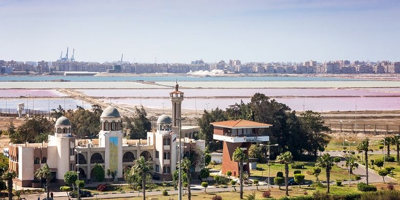 Cari Tahu, Ingin Ekspor ke Mesir? Simak Dulu Ini