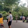 Angin Kencang Landa Pasuruan, Pohon Tumbang Tewaskan Pengendara Motor 