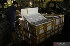 Indonesia's Police Tracing Coral Smugglers' Network in West Nusa Tenggara