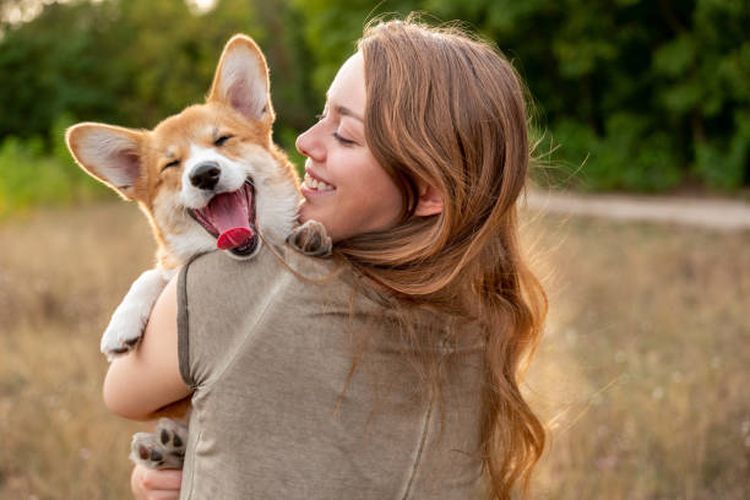7 Cara Anjing Menunjukkan Kasih Sayang pada Pemiliknya, Salah Satunya Melalui Kontak Mata