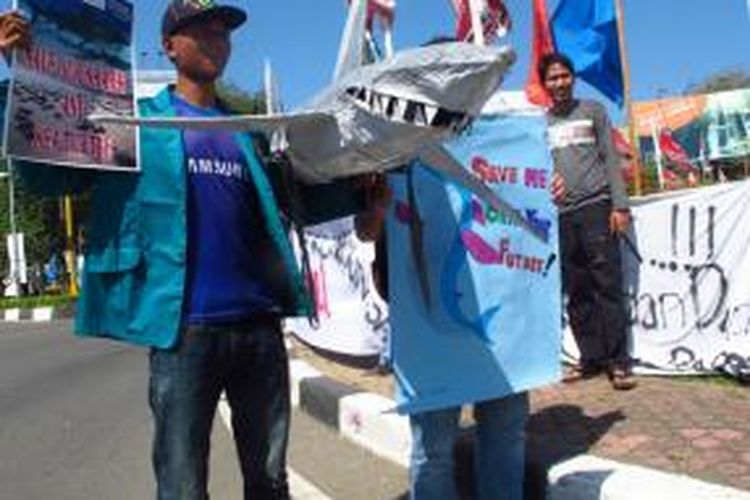 Fakultas Kelautan dan Perikanan Unsyiah Banda Aceh yang tergabung dalam Ocean Diving Club, menggelar aksi kampanye penyelamatan populasi Hiu dan Penyu yang kian terancam di perairan Aceh, Kamis (27/2/2014).