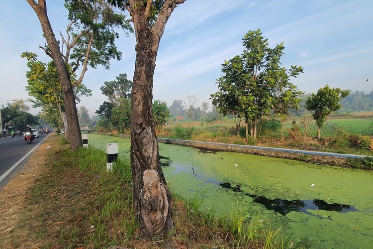 Sungai Winongo kecil di Jalan Samas KM 19, Kalurahan Sidomulyo, Kapanewon Bambanglipuro, Kabupaten Bantul, DI Yogyakarta. Selasa (15/8/2023)