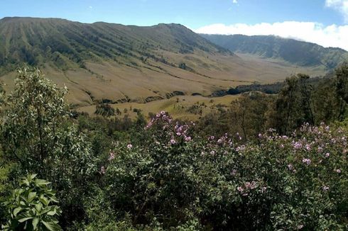 Taman Nasional Bromo Tengger Semeru Tetap Buka meski Malang Raya Terapkan PPKM Level 3
