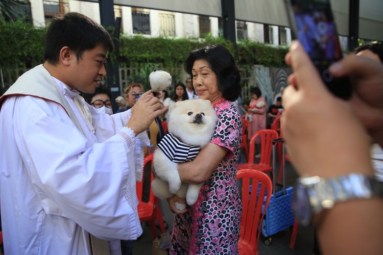 Pastor rekan Gereja Katolik Santa Maria Diangkat ke Surga Paroki Katedral Jakarta, Yohanes Deodatus SJ memberkati salah satu anjing dalam peringatan hari hewan pada Rabu (4/10/2023).