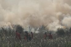 10 Hektar Lahan Gambut di Ogan Ilir Terbakar Timbulkan Asap Tebal