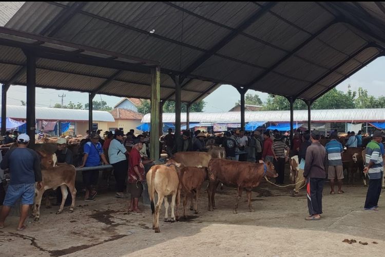 Pasar Hewan di Sragen Kembali Buka, Perdagangan Masih Lesu