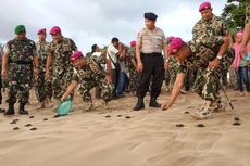 165 Ekor Tukik Sisik dan Lengkang Dilepas di Pantai Selatan Malang