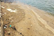 Pemkot Ungkap Penyebab Teluk Bima Tercemar