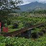 Longsor di Cilawu Garut, Desa Wisata Dayeuhmanggung Tidak Terdampak