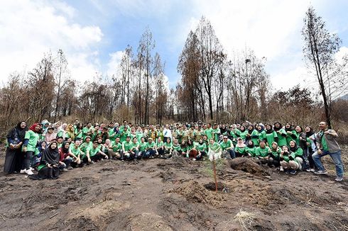 #SiapDarling Hijaukan Kembali TWA Kawah Ijen Bersama Generasi Millennial