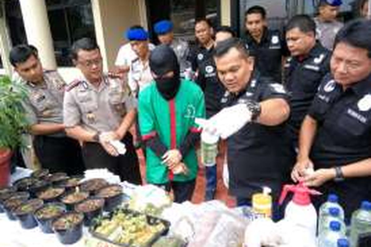 Jajaran Polres Metro Jakarta Barat saat merilis kasus penanaman ganja di dalam kamar apartment pada Rabu (27/4/2016.