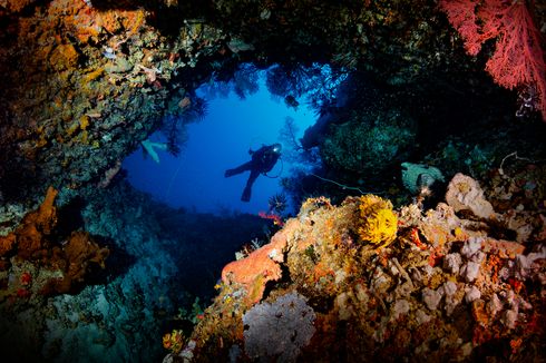 Peringatan Hari Laut Sedunia bagi Kepulauan Maluku