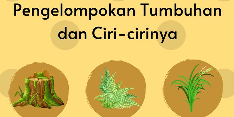 Pengelompokan Tumbuhan Dan Ciri-cirinya