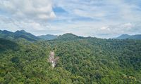 Sejuknya Hutan, Hangatnya Cerita tentang Petani Kopi