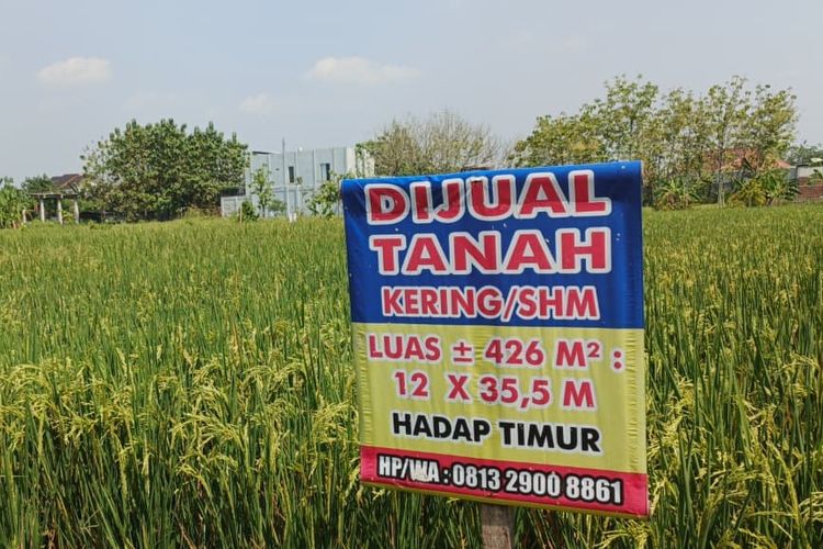 Sertifikat Tanah Gratis Resmi Digulirkan, Siapa Saja yang Berhak?