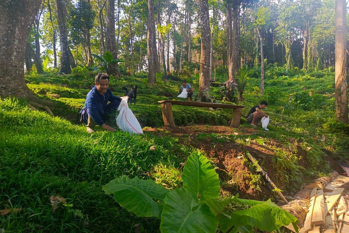 Hutan lindung di Kabupaten Buleleng, Provinsi Bali.