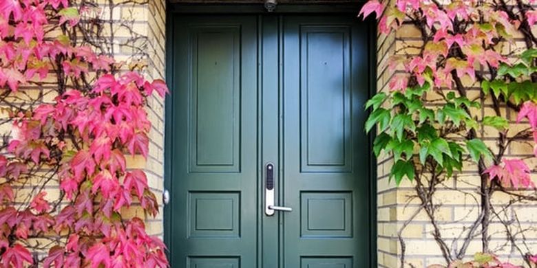 model daun pintu minimalis 2021 model daun pintu minimalis 2021