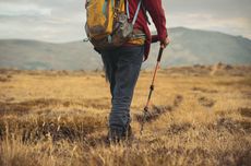 6 Tips agar Tidak Tersesat Saat Mendaki Gunung, Jangan Panik