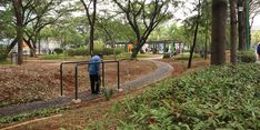 Taman Kota di Jakarta, Antara Harapan Warga dan Tantangan