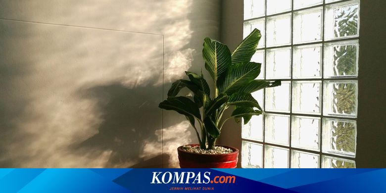 Mengenal Glass Block, Kaca Pelindung dan Pemercantik Dinding Rumah