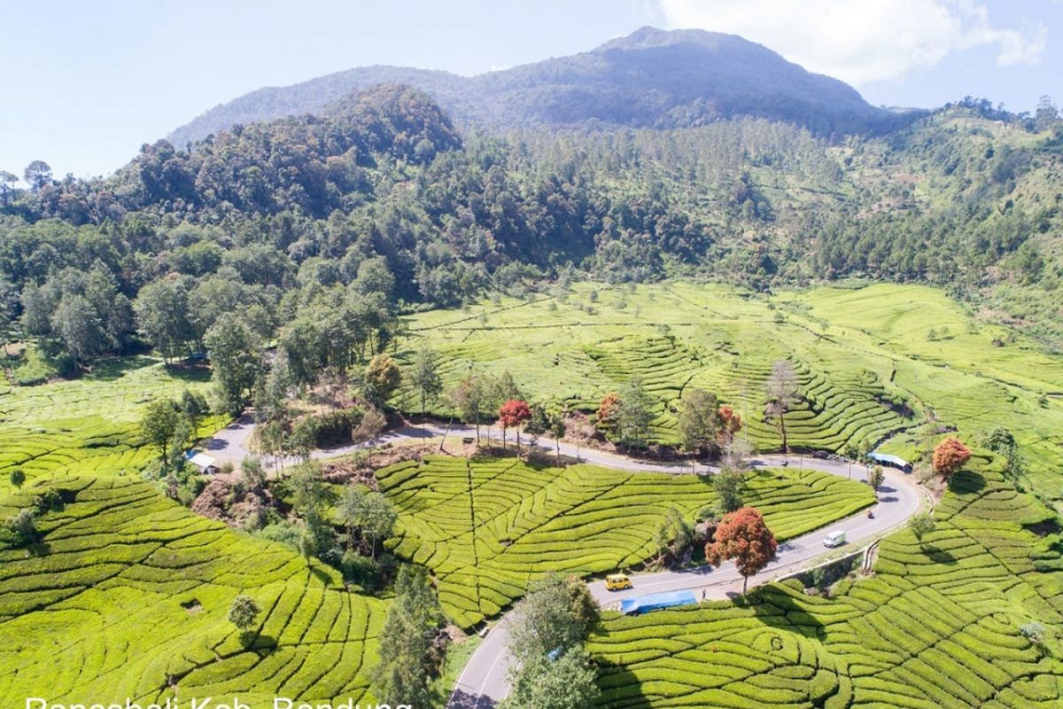 Jalur pantai selatan (pansela) Jawa.