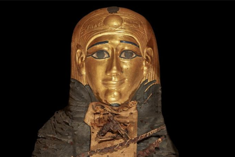 Hasil penelitian mumi tersebut menunjukkan bahwa remaja laki-laki itu berasal dari masyarakat kelas atas zaman Mesir kuno.
