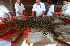 KKP Dorong Peningkatan Penjualan Produk Perikanan Berkelanjutan