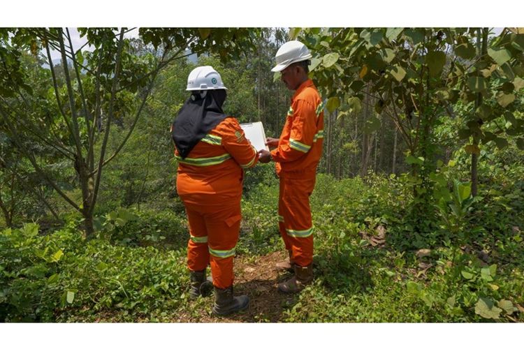 Eramet secara konsisten mendukung sektor ekonomi masyarakat melalui studi agroforestri di Tidore dan Ternate, Maluku Utara.
