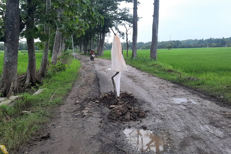 Kondisi jalan kabupaten yang menuju ke warung kopi santen di Desa Jepangrejo, Blora